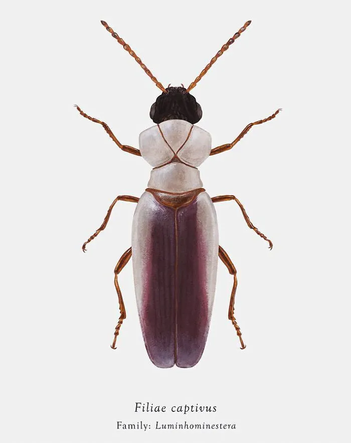 Artist Mutates Insects To Resemble Star Wars Characters – How Many Do You Recognize?