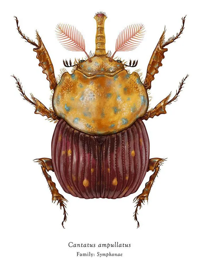Artist Mutates Insects To Resemble Star Wars Characters – How Many Do You Recognize?