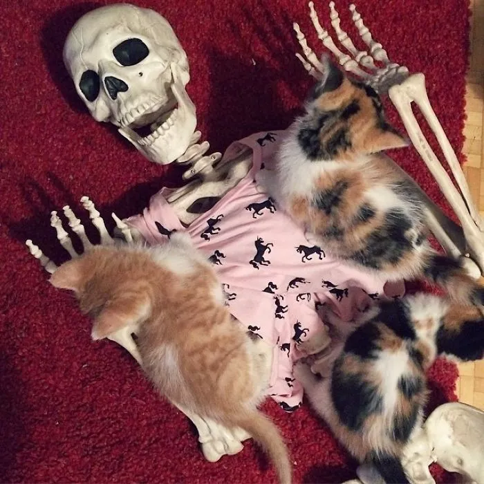 This Instagram Account Pokes Fun At The White Girl Stereotype, And It's Hilarious