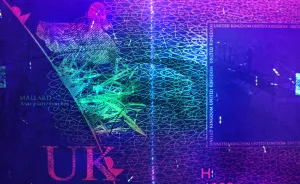 I Always Knew That Passports Used UV Ink For Security So I Checked How That Looks