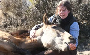 The Love And Trust Between These Horses And Owner Is Amazing