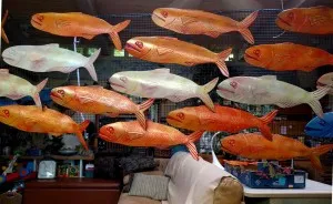 I Helped People With Blindness And Multiple Disabilities Create A 14 Foot Tall Fishnado!