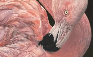 I Create Hyperrealistic Pencil Drawings Of Animals, Here Are 19 Of Them
