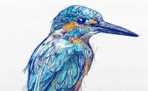 Hi, I'm Flo And I Draw Stuff And People