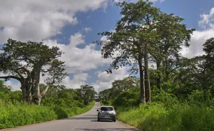 I Became The First Human Being To Cross African Continent In An Electric Car