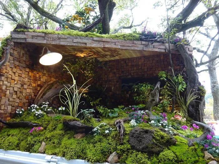 Secret Green Dao's Place