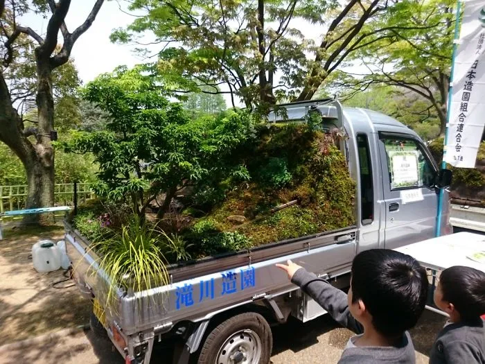 Garden With Running Train