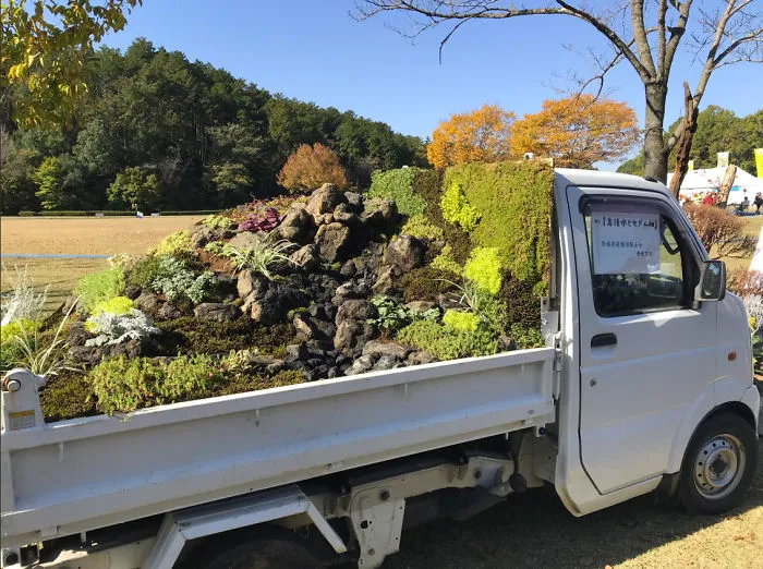 Japanese Mobile Garden