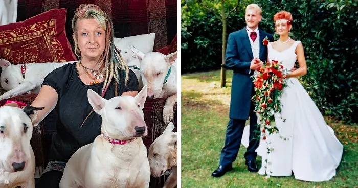 Husband Fed Up With The 30 Dogs His Wife Pets Asks Her To Choose Him Or The Dogs, And Probably Regrets It Afterwards