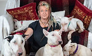 Husband Fed Up With The 30 Dogs His Wife Pets Asks Her To Choose Him Or The Dogs, And Probably Regrets It Afterwards