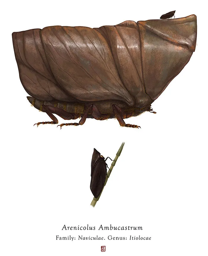 Artist Mutates Insects To Resemble Star Wars Characters – How Many Do You Recognize?