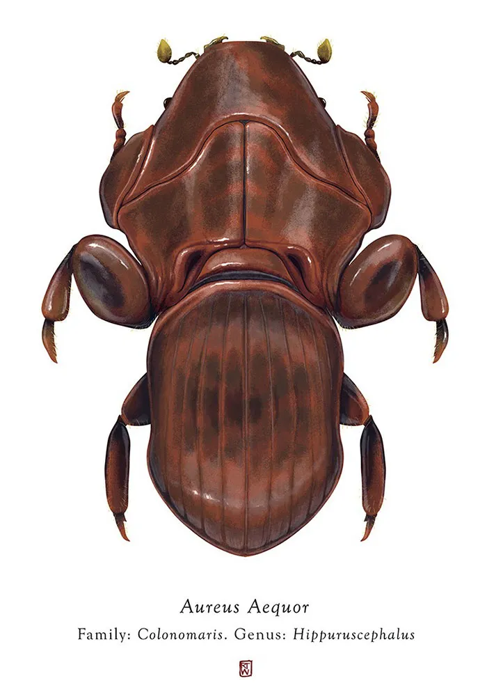 Artist Mutates Insects To Resemble Star Wars Characters – How Many Do You Recognize?