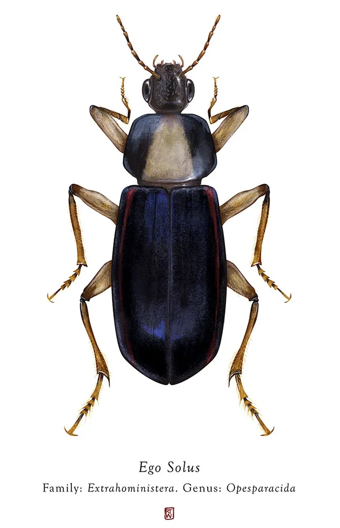 Artist Mutates Insects To Resemble Star Wars Characters – How Many Do You Recognize?