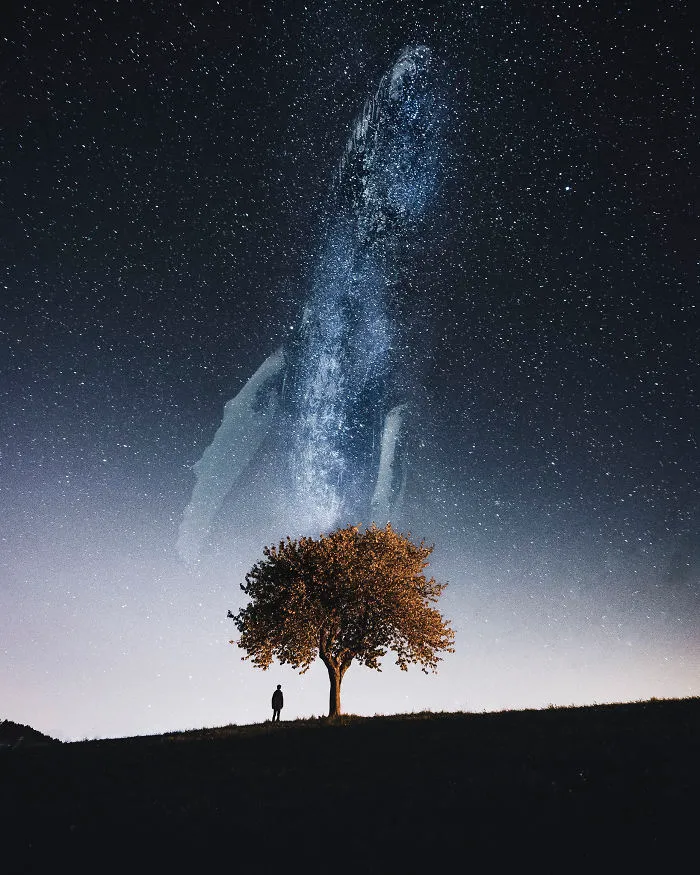 Milkywhale