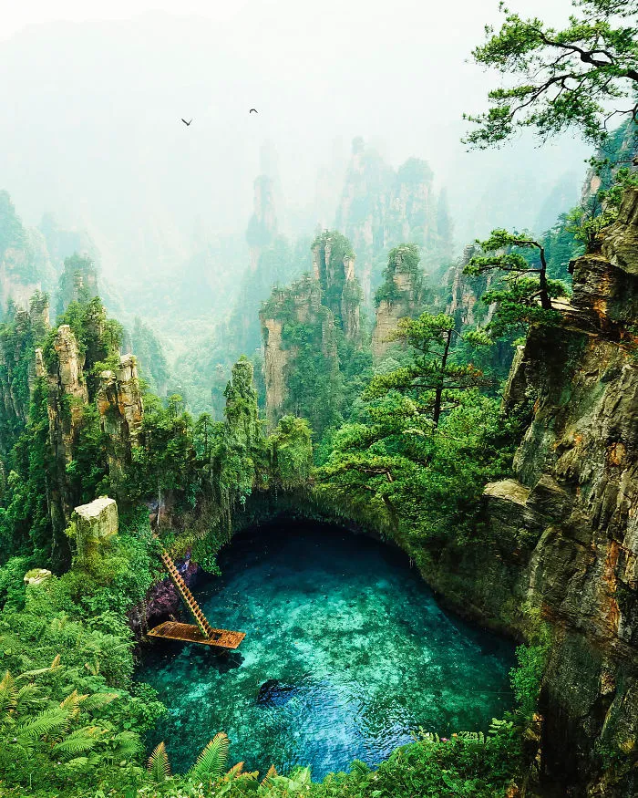 Paradise Pool