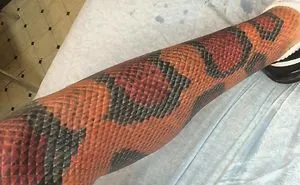 112 Bad Tattoo Fails That’ll Make You Laugh And Cringe