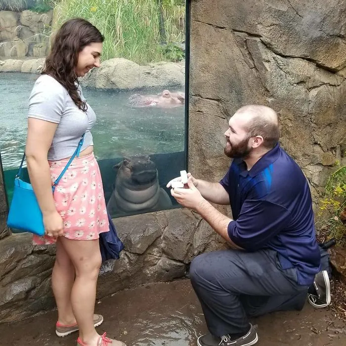 Nos alegra que Fiona apareciera en un momento tan especial