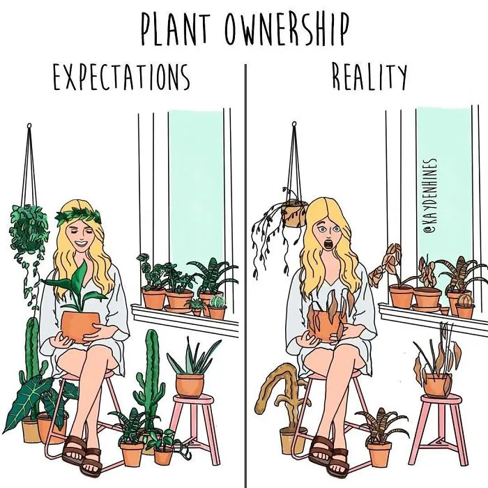 This Illustrator Hilariously Sums Up The True Struggles Of Adult Life