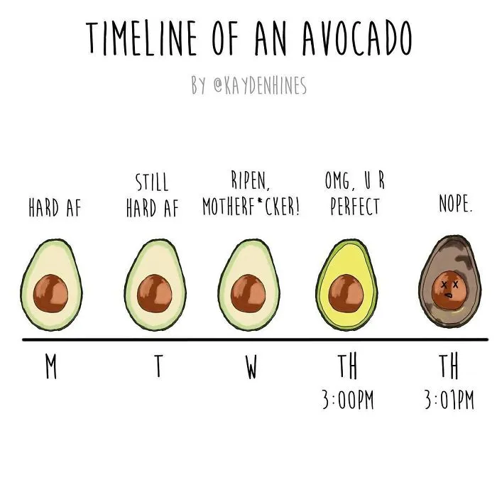 This Illustrator Hilariously Sums Up The True Struggles Of Adult Life
