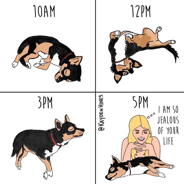 This Illustrator Hilariously Sums Up The True Struggles Of Adult Life