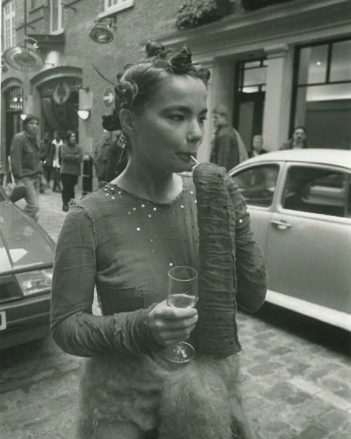 Bjork, por Jeremy Deller en 1994