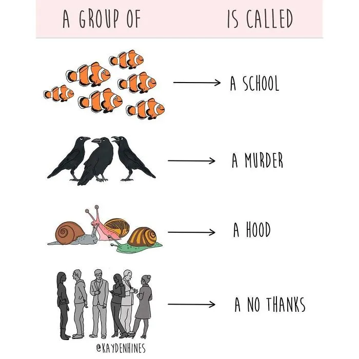 This Illustrator Hilariously Sums Up The True Struggles Of Adult Life