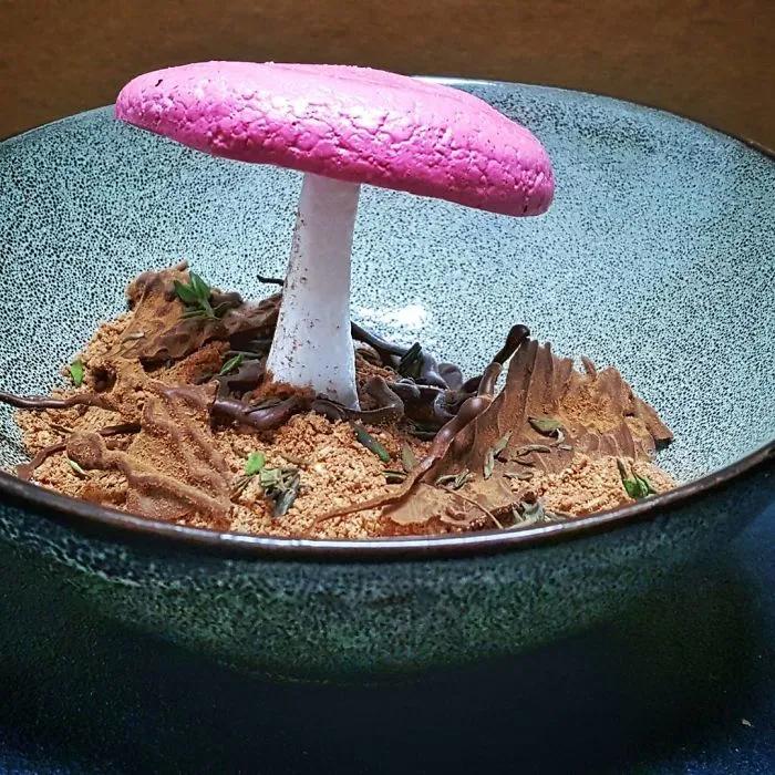 Ganache de chocolate, tomillo, merengue, tierra de chocolate