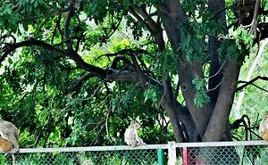 I Photographed Jammu City Of India