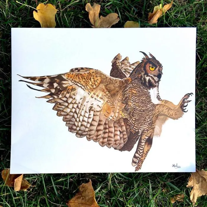 I Create Hyperrealistic Pencil Drawings Of Animals, Here Are 19 Of Them