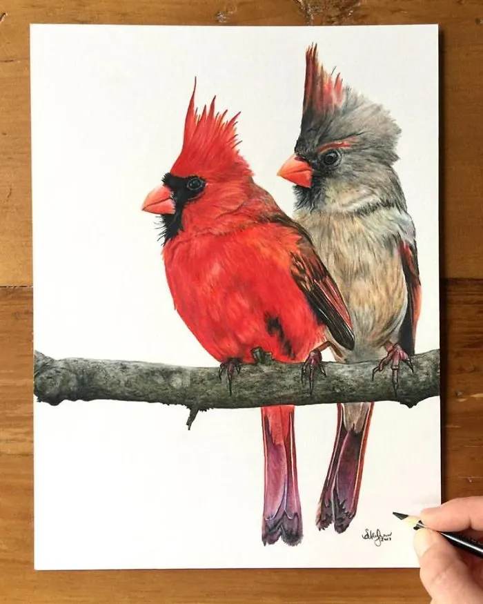 I Create Hyperrealistic Pencil Drawings Of Animals, Here Are 19 Of Them
