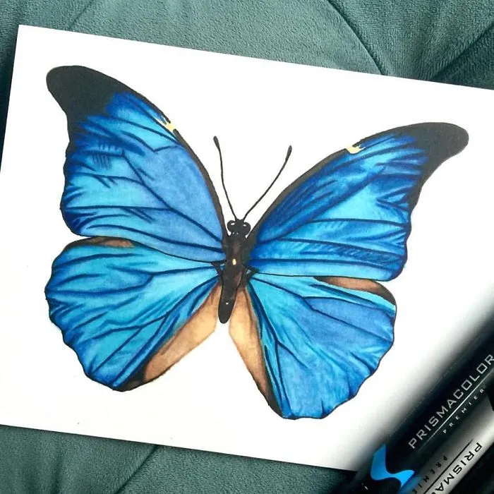 I Create Hyperrealistic Pencil Drawings Of Animals, Here Are 19 Of Them
