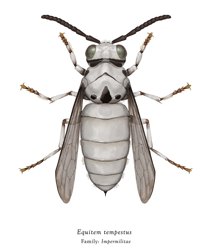 Artist Mutates Insects To Resemble Star Wars Characters – How Many Do You Recognize?