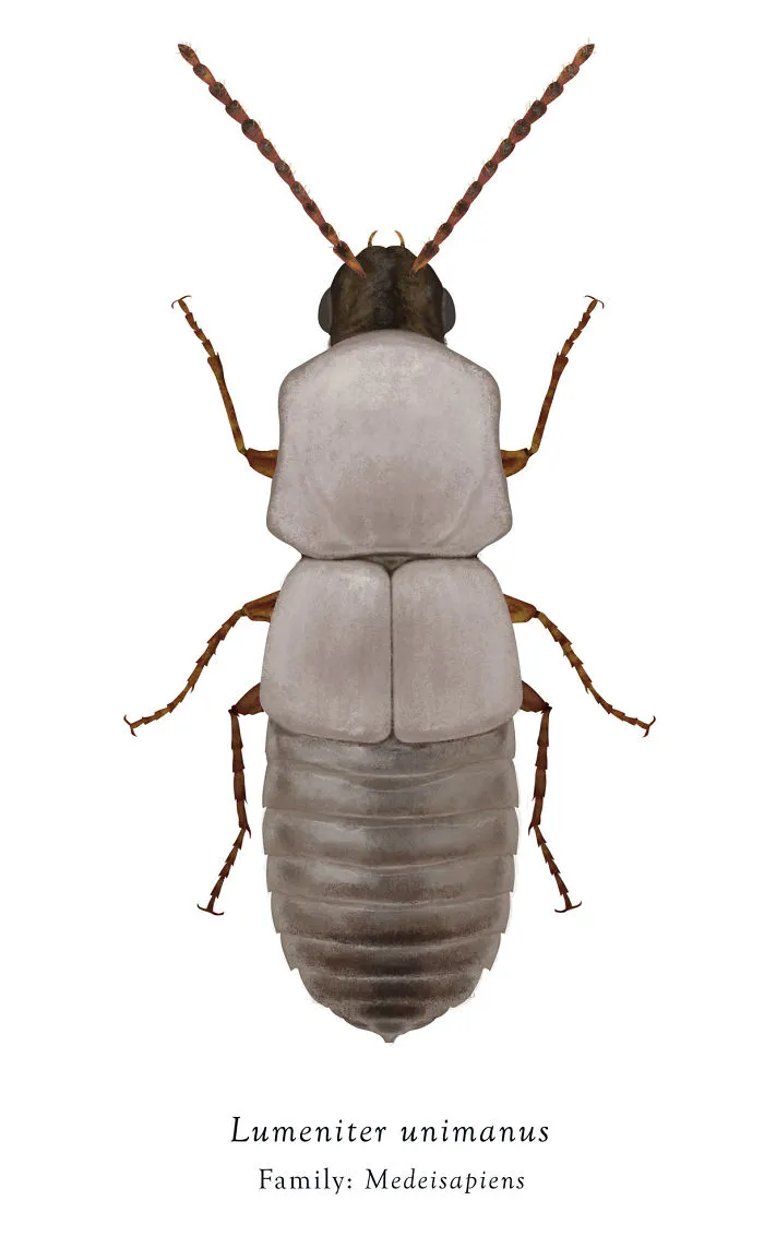 Artist Mutates Insects To Resemble Star Wars Characters – How Many Do You Recognize?