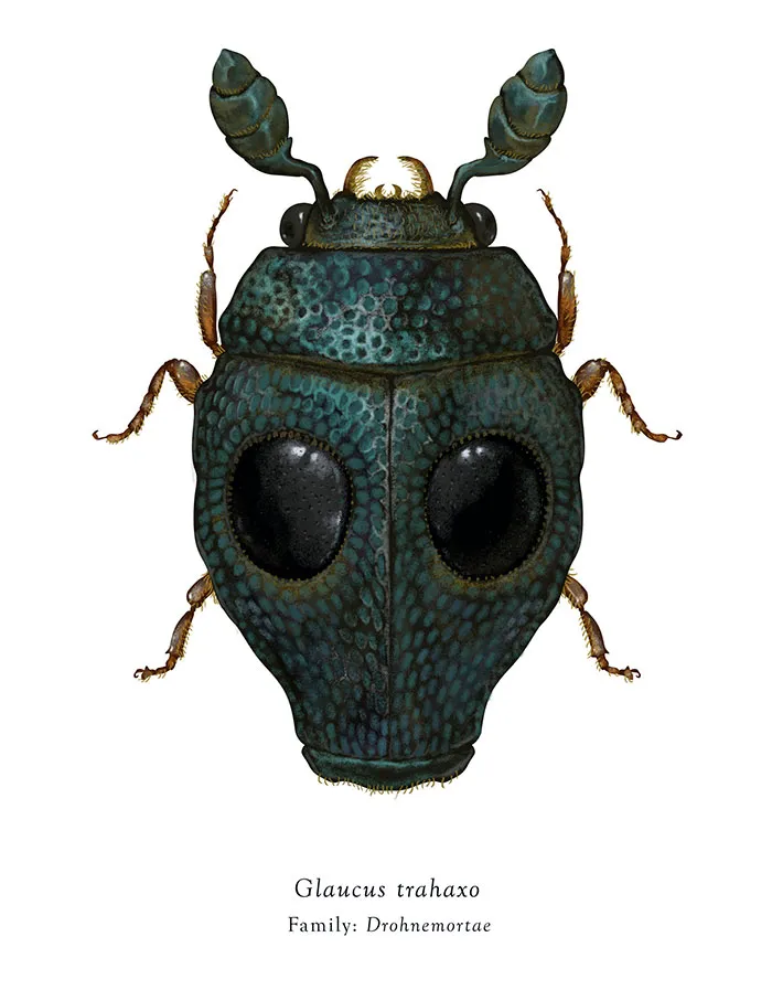 Artist Mutates Insects To Resemble Star Wars Characters – How Many Do You Recognize?