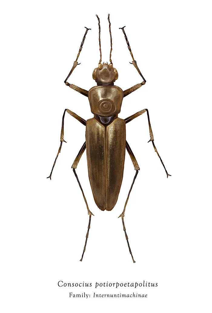 Artist Mutates Insects To Resemble Star Wars Characters – How Many Do You Recognize?