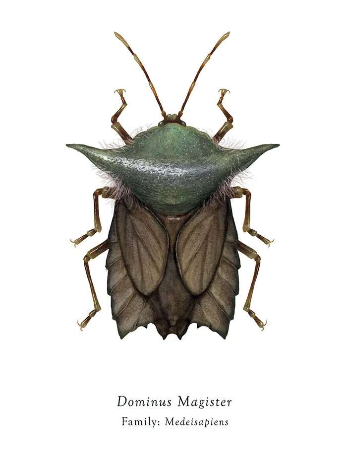 Artist Mutates Insects To Resemble Star Wars Characters – How Many Do You Recognize?