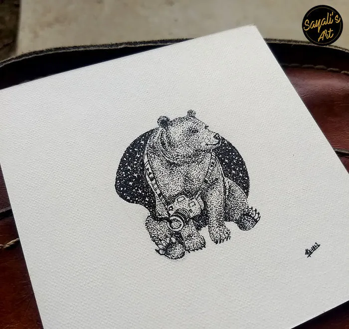Bear Photographer