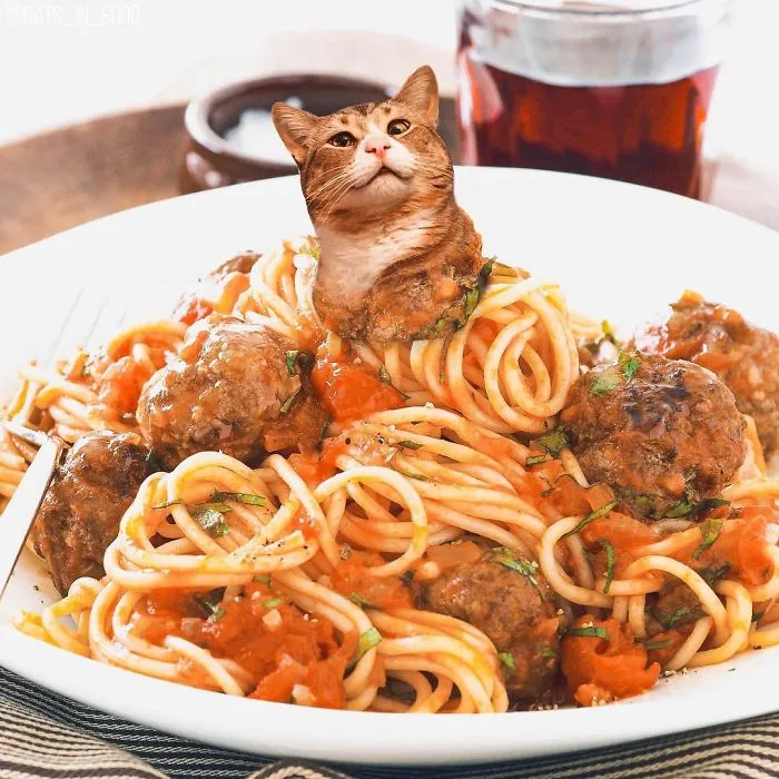 I Started Photoshopping Cats Into Food, And Somehow Ended Up Getting 74,000 Followers On Instagram