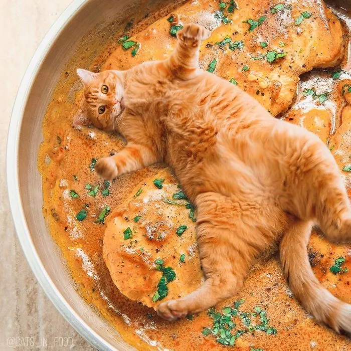 I Started Photoshopping Cats Into Food, And Somehow Ended Up Getting 74,000 Followers On Instagram