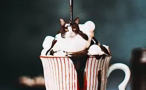 I Started Photoshopping Cats Into Food, And Somehow Ended Up Getting 74,000 Followers On Instagram