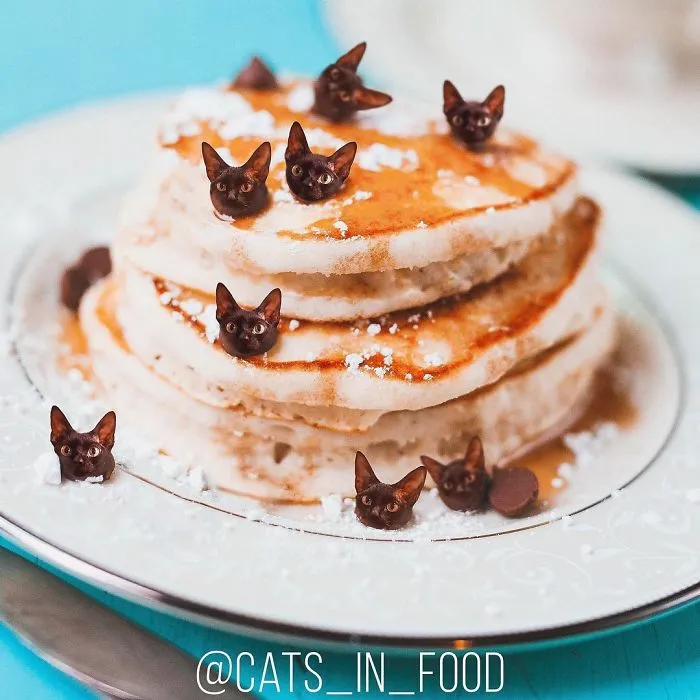 I Started Photoshopping Cats Into Food, And Somehow Ended Up Getting 74,000 Followers On Instagram
