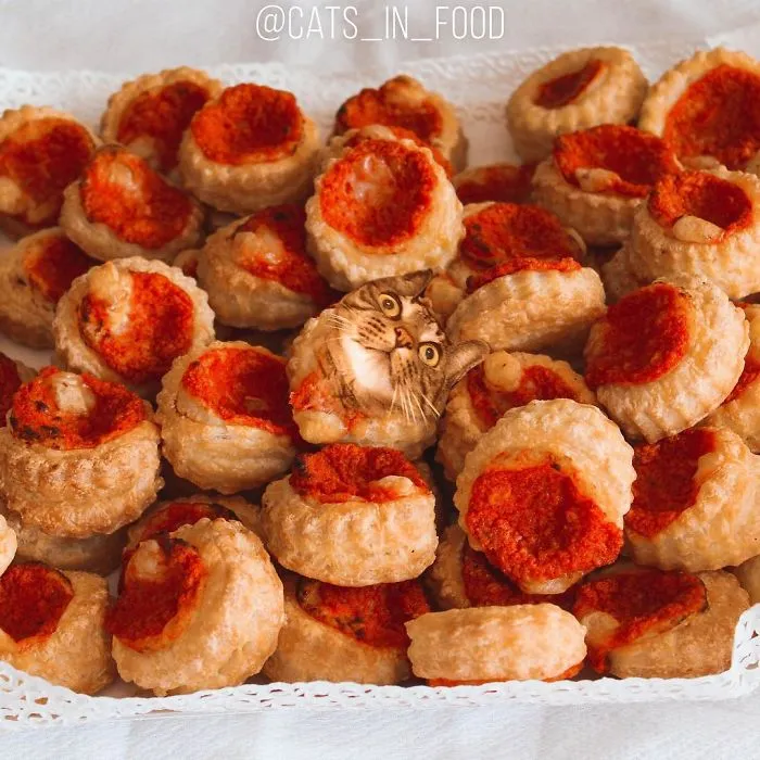 I Started Photoshopping Cats Into Food, And Somehow Ended Up Getting 74,000 Followers On Instagram