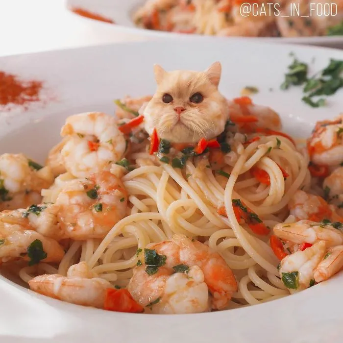 I Started Photoshopping Cats Into Food, And Somehow Ended Up Getting 74,000 Followers On Instagram