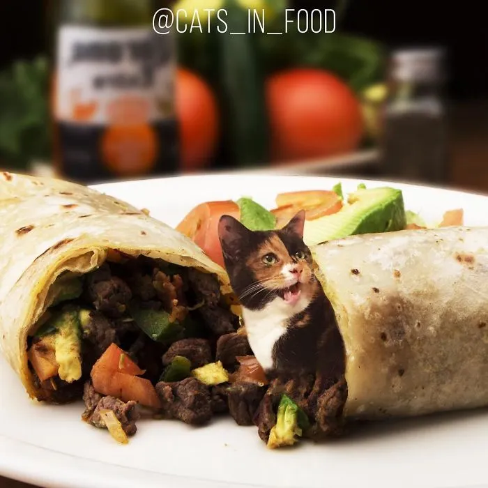 I Started Photoshopping Cats Into Food, And Somehow Ended Up Getting 74,000 Followers On Instagram