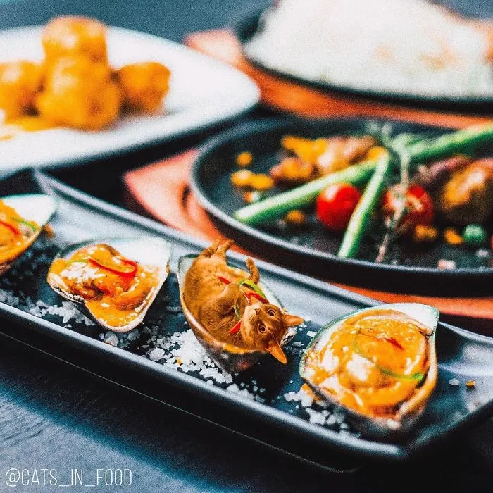 I Started Photoshopping Cats Into Food, And Somehow Ended Up Getting 74,000 Followers On Instagram
