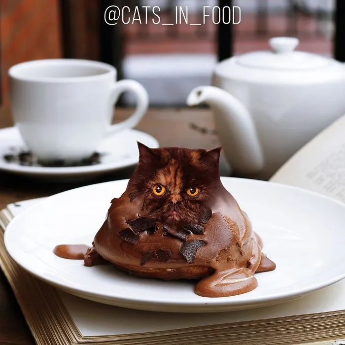 I Started Photoshopping Cats Into Food, And Somehow Ended Up Getting 74,000 Followers On Instagram