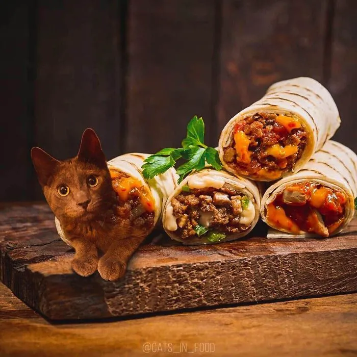 I Started Photoshopping Cats Into Food, And Somehow Ended Up Getting 74,000 Followers On Instagram