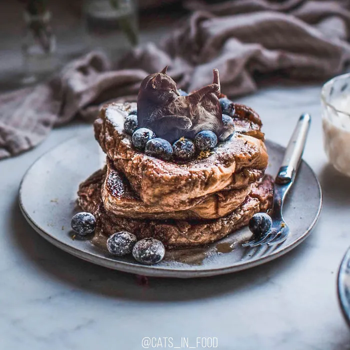 I Started Photoshopping Cats Into Food, And Somehow Ended Up Getting 74,000 Followers On Instagram