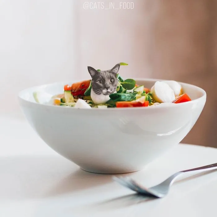 I Started Photoshopping Cats Into Food, And Somehow Ended Up Getting 74,000 Followers On Instagram