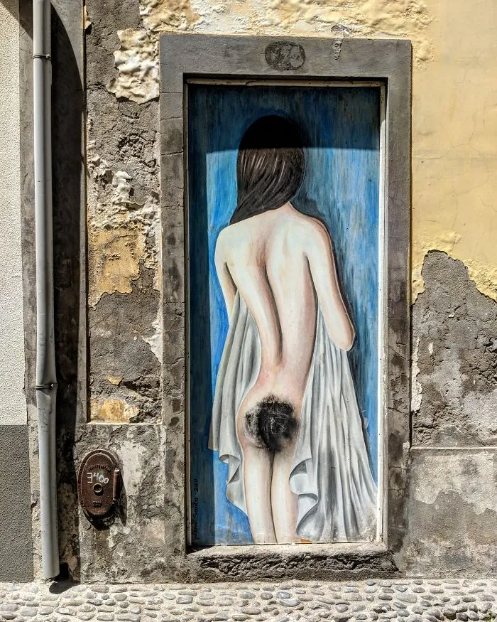 The Painted Doors Project: I Took Pictures Of Beautiful Doors In Madeira (27 Pics)